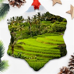 Rice Terrace Terraces Ornament (snowflake) by Nexatart