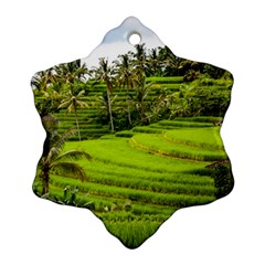 Rice Terrace Terraces Snowflake Ornament (two Sides) by Nexatart