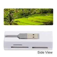 Rice Terrace Terraces Memory Card Reader (stick)  by Nexatart