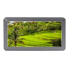 Rice Terrace Terraces Memory Card Reader (mini) by Nexatart