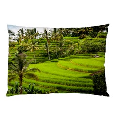 Rice Terrace Terraces Pillow Case (two Sides) by Nexatart