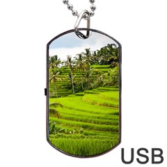 Rice Terrace Terraces Dog Tag Usb Flash (one Side) by Nexatart