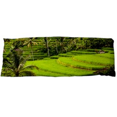 Rice Terrace Terraces Body Pillow Case Dakimakura (two Sides) by Nexatart