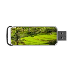 Rice Terrace Terraces Portable Usb Flash (two Sides) by Nexatart