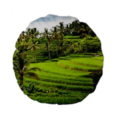 Rice Terrace Terraces Standard 15  Premium Round Cushions by Nexatart