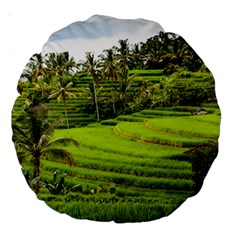 Rice Terrace Terraces Large 18  Premium Round Cushions by Nexatart