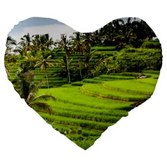 Rice Terrace Terraces Large 19  Premium Heart Shape Cushions by Nexatart