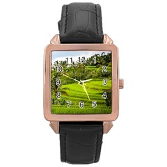 Rice Terrace Terraces Rose Gold Leather Watch  by Nexatart