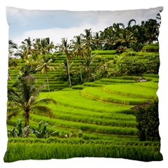 Rice Terrace Terraces Large Flano Cushion Case (two Sides) by Nexatart