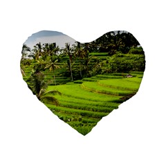 Rice Terrace Terraces Standard 16  Premium Flano Heart Shape Cushions by Nexatart