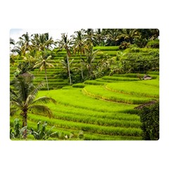 Rice Terrace Terraces Double Sided Flano Blanket (mini)  by Nexatart