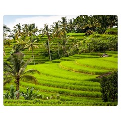 Rice Terrace Terraces Double Sided Flano Blanket (medium)  by Nexatart