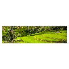 Rice Terrace Terraces Satin Scarf (oblong) by Nexatart