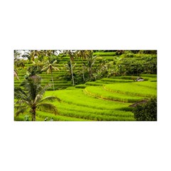 Rice Terrace Terraces Yoga Headband by Nexatart