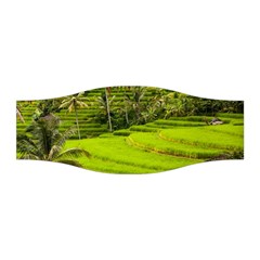 Rice Terrace Terraces Stretchable Headband by Nexatart