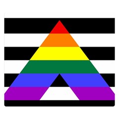 Straight Ally Flag Double Sided Flano Blanket (small)  by Valentinaart