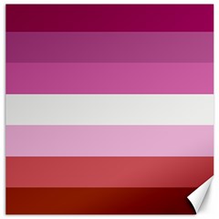 Lesbian Pride Flag Canvas 20  X 20   by Valentinaart