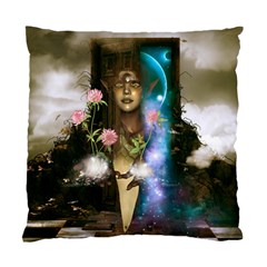 The Wonderful Women Of Earth Standard Cushion Case (one Side) by FantasyWorld7