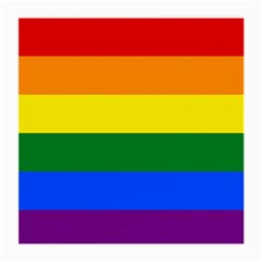 Pride Flag Medium Glasses Cloth