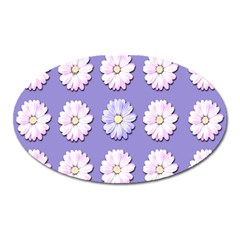 Daisy Flowers Wild Flowers Bloom Oval Magnet by Nexatart