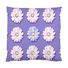 Daisy Flowers Wild Flowers Bloom Standard Cushion Case (two Sides) by Nexatart