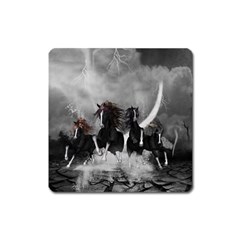 Awesome Wild Black Horses Running In The Night Square Magnet by FantasyWorld7