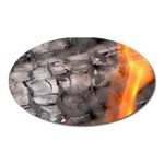 Fireplace Flame Burn Firewood Oval Magnet Front