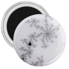 Mandelbrot Apple Males Mathematics 3  Magnets by Nexatart