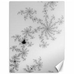 Mandelbrot Apple Males Mathematics Canvas 12  X 16   by Nexatart