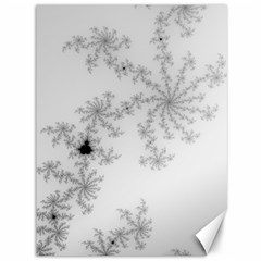 Mandelbrot Apple Males Mathematics Canvas 36  X 48   by Nexatart