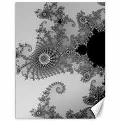 Apple Males Mandelbrot Abstract Canvas 12  X 16   by Nexatart