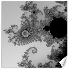 Apple Males Mandelbrot Abstract Canvas 16  X 16   by Nexatart