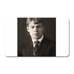 Sergei Yesenin Magnet (Rectangular) Front