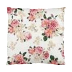 Downloadv Standard Cushion Case (one Side) by MaryIllustrations