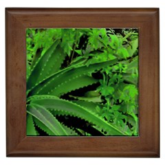 Vivid Tropical Design Framed Tiles by dflcprints