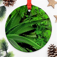 Vivid Tropical Design Ornament (round) by dflcprints