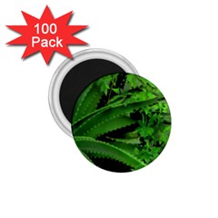 Vivid Tropical Design 1 75  Magnets (100 Pack) 