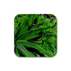 Vivid Tropical Design Rubber Square Coaster (4 Pack)  by dflcprints