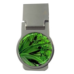 Vivid Tropical Design Money Clips (round)  by dflcprints