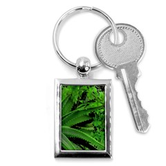 Vivid Tropical Design Key Chains (rectangle)  by dflcprints