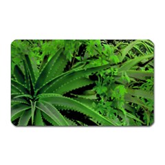 Vivid Tropical Design Magnet (rectangular) by dflcprints