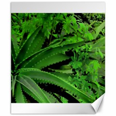 Vivid Tropical Design Canvas 8  X 10 