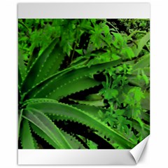 Vivid Tropical Design Canvas 16  X 20  