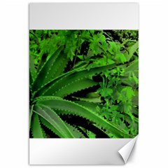 Vivid Tropical Design Canvas 20  X 30   by dflcprints