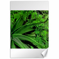 Vivid Tropical Design Canvas 24  X 36  by dflcprints