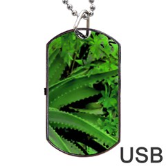 Vivid Tropical Design Dog Tag Usb Flash (one Side) by dflcprints