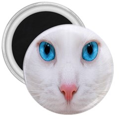 Beautiful White Face Cat Animals Blue Eye 3  Magnets