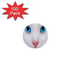 Beautiful White Face Cat Animals Blue Eye 1  Mini Buttons (100 Pack)  by Mariart