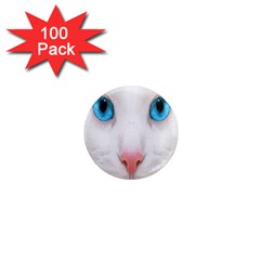 Beautiful White Face Cat Animals Blue Eye 1  Mini Magnets (100 Pack) 