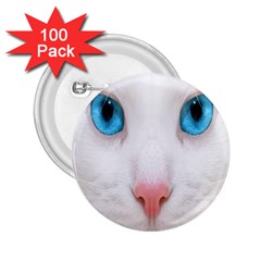 Beautiful White Face Cat Animals Blue Eye 2 25  Buttons (100 Pack)  by Mariart